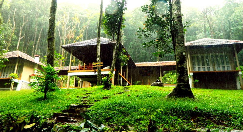 best forest resort in wayanad