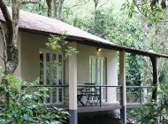 Forest resort - Laternstay Resort in Wayanad, Kerala
