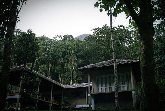 Forest Resort In Wayanad
